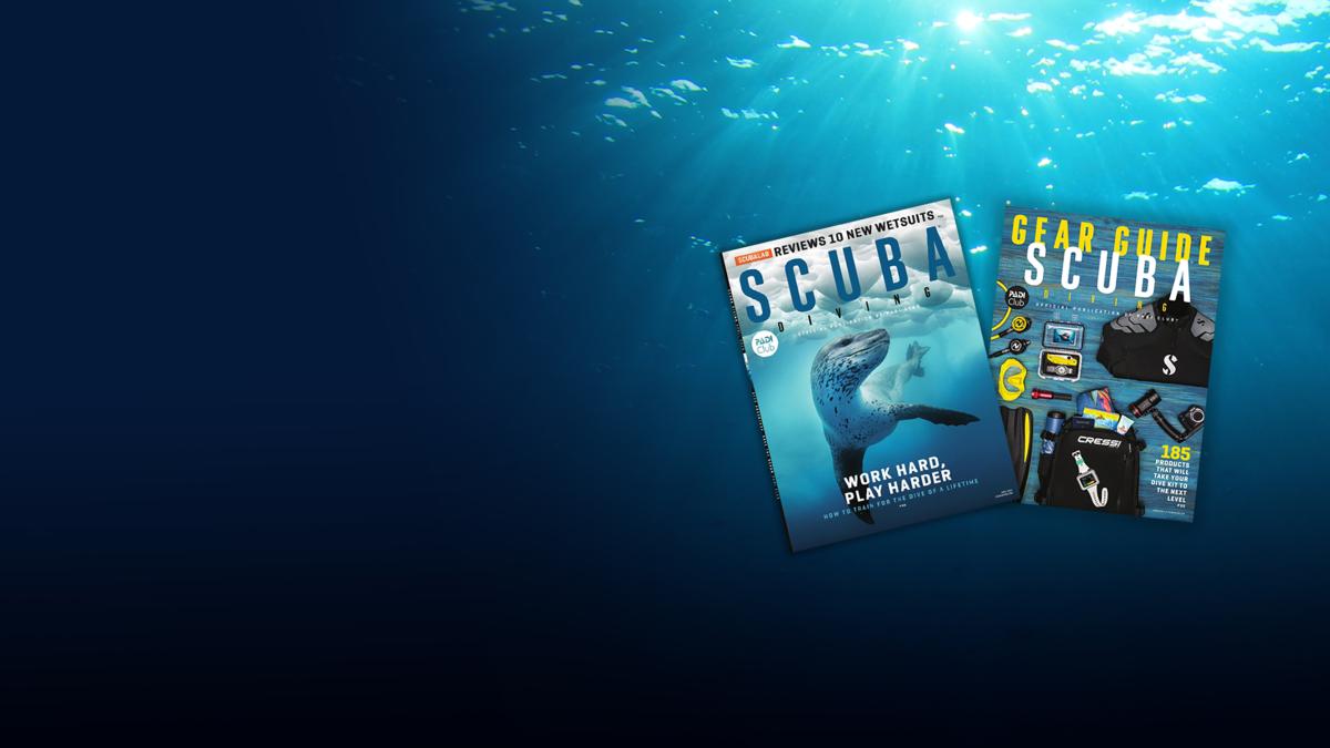 Scuba-Diving-Magazine-Homepage.jpg Get your copy of Scuba Diving magazine with a 幸运飞行艇手机彩票开奖网 Club membership!